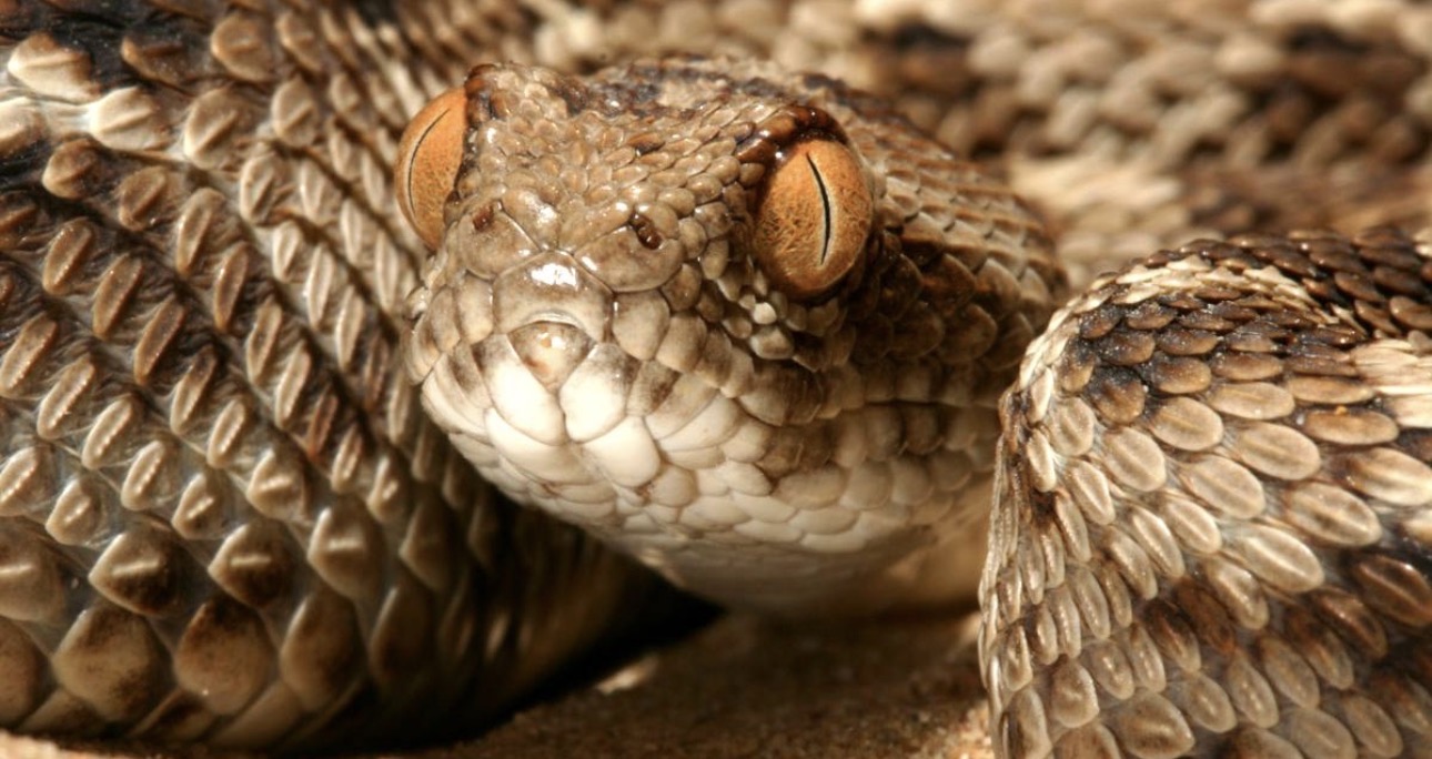 IMG_7545.jpeg